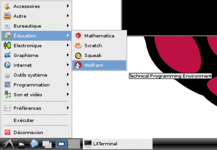 raspberry mathematica